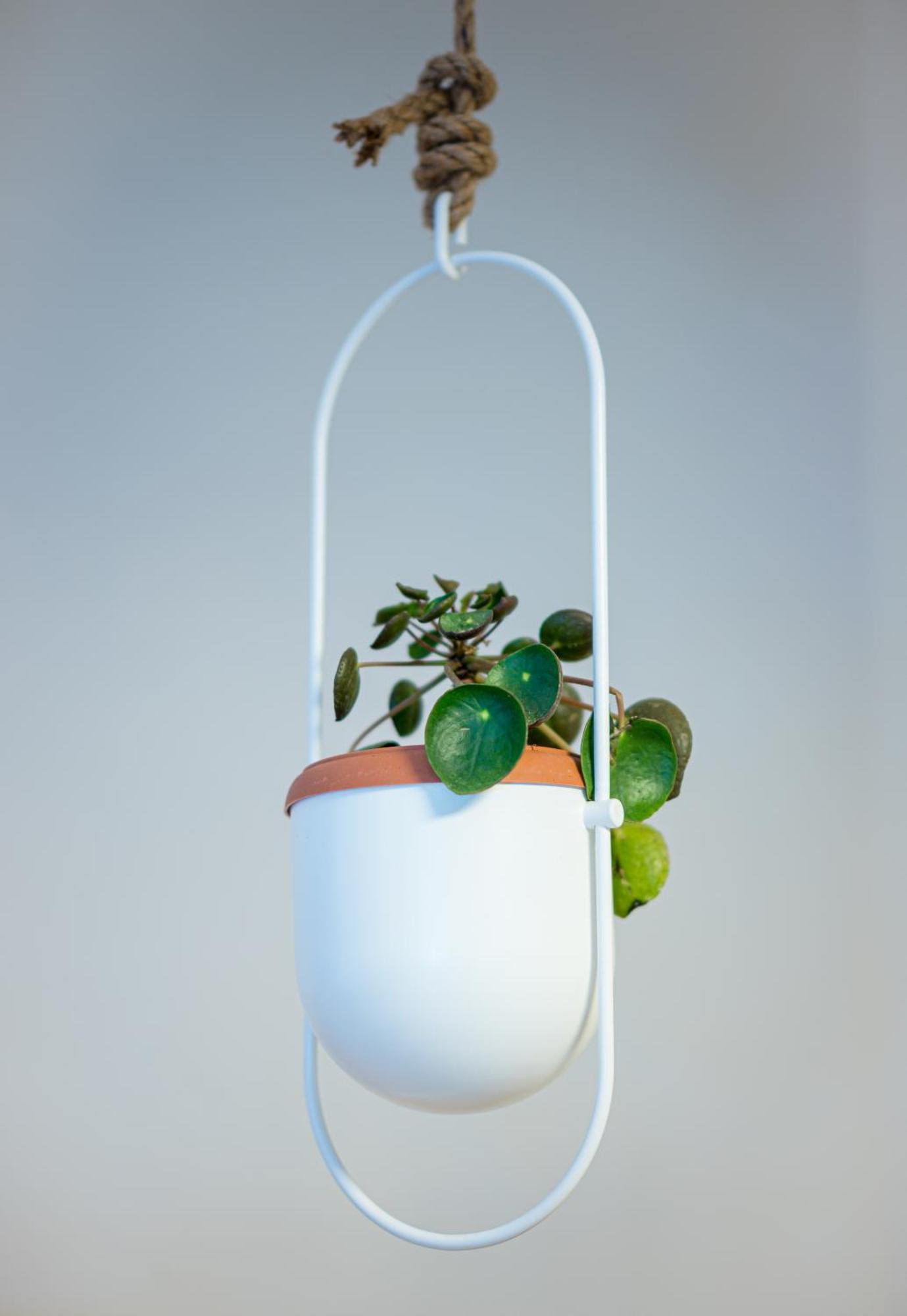 Coconut Blue Lägenhet Itea Exteriör bild